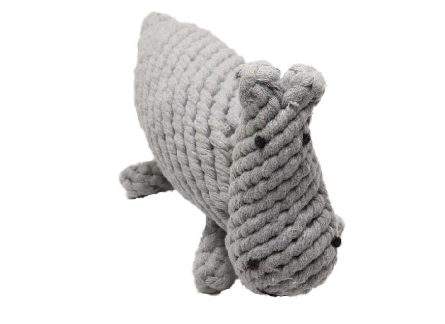hippo